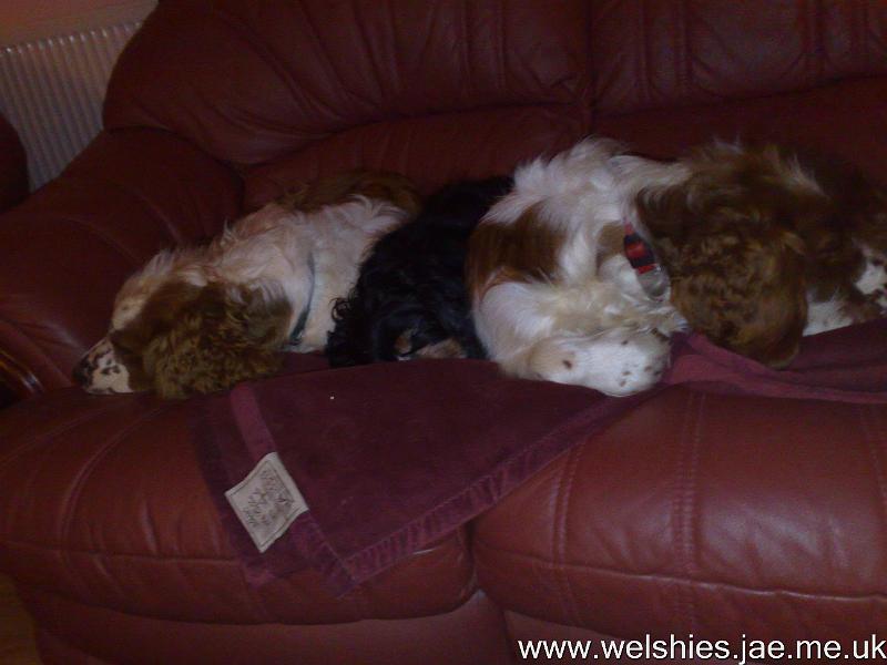 2009-12-29 03.jpg - Let's cuddle up together...